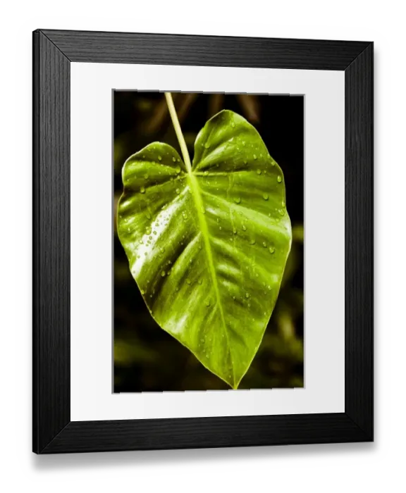 Framed Print : Central America, Belize