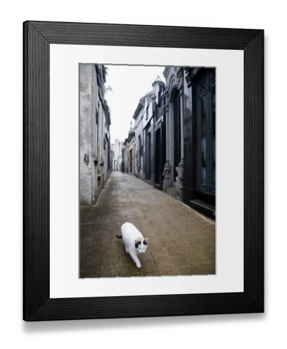 Framed Print : Buenos Aires, Argentina. The graveyard in Ricoleta where Eva (Evita) Peron is buried Framed Print : Buenos Aires, Argentina. The graveyard in Ricoleta where Eva (Evita) Peron is buried