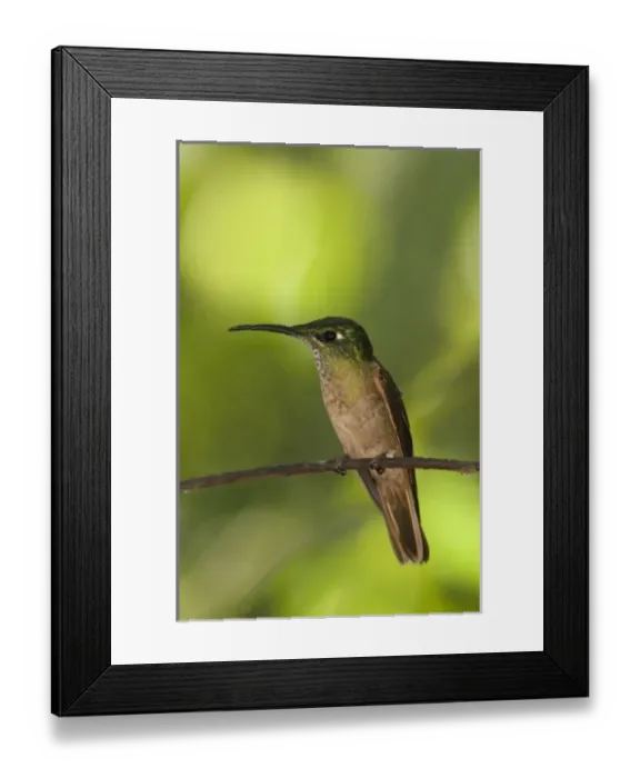 Framed Print : Central America, Ecuador Framed Print : Central America, Ecuador