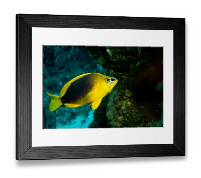 Framed Print : Central America, Belize Framed Print : Central America, Belize