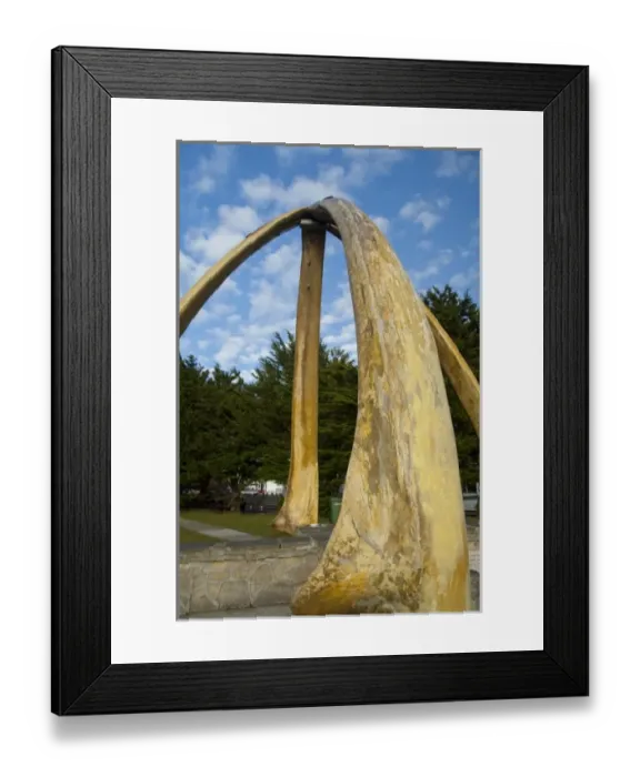 Framed Print : South America, Falkland Islands Framed Print : South America, Falkland Islands