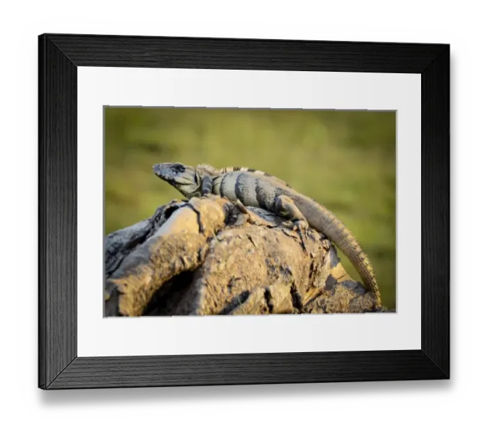 Framed Print : Central America, Belize Framed Print : Central America, Belize