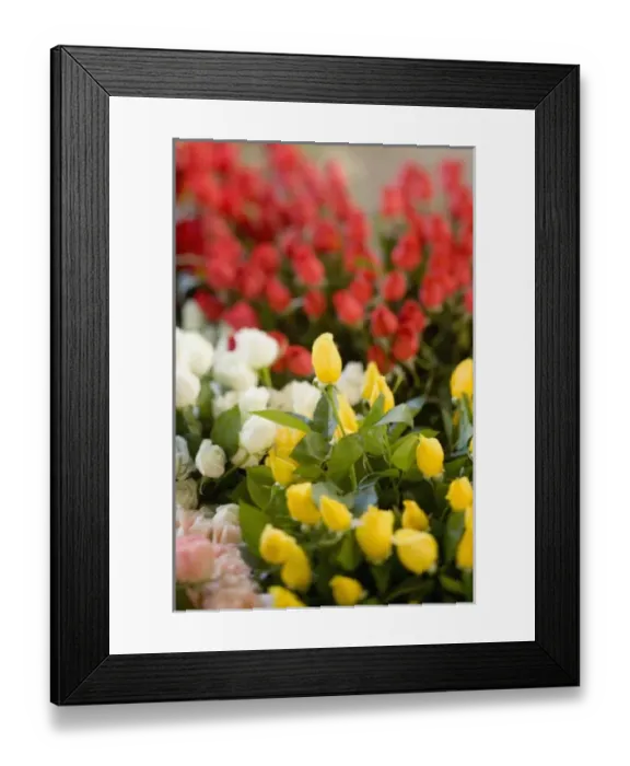 Framed Print : Weekly Friday fruit & vegetable market. Southern Zone of Rio De Janeiro, Praca General Osorio Framed Print : Weekly Friday fruit & vegetable market. Southern Zone of Rio De Janeiro, Praca General Osorio