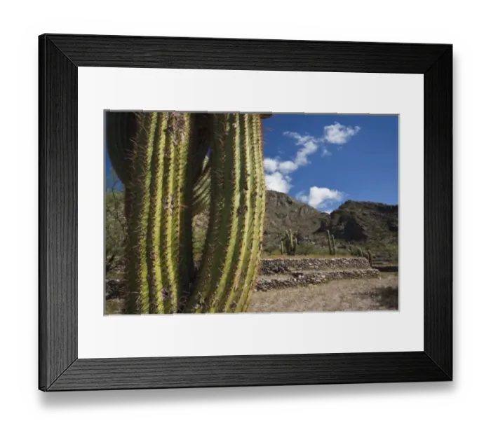 Framed Print : Argentina, Tucuman Province, Quilmes. Cacti and ruins of ancient indigenous people s