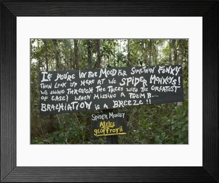 Framed Print : Sign, Belize Zoo, Belize Framed Print : Sign, Belize Zoo, Belize
