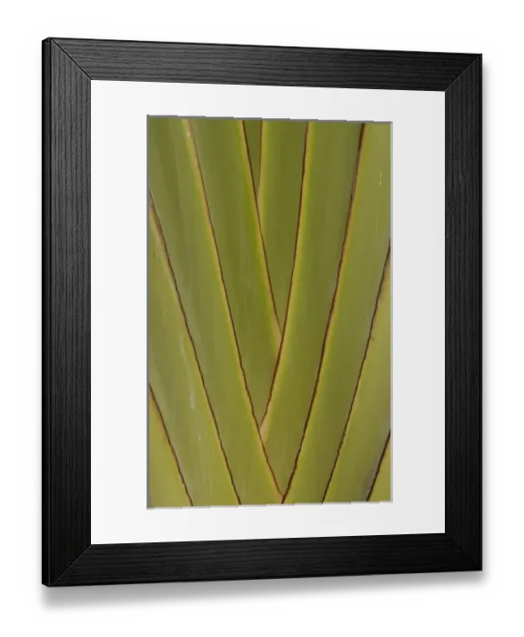 Framed Print : Central America, Ecuador Framed Print : Central America, Ecuador
