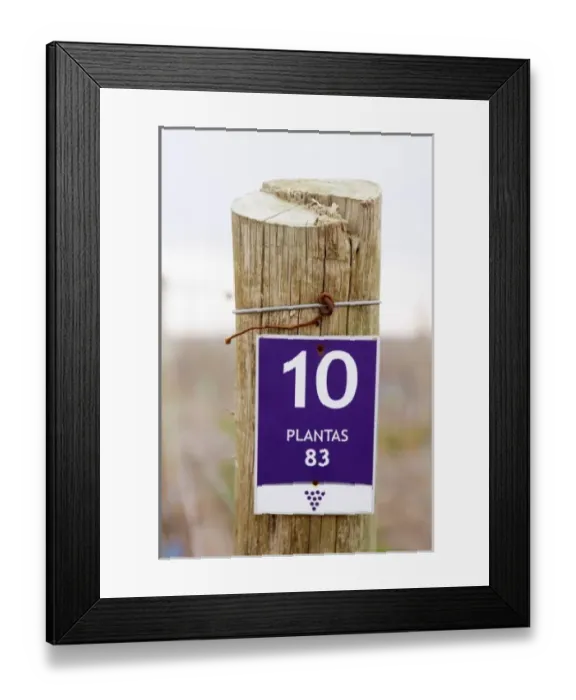 Framed Print : South America, Argentina Framed Print : South America, Argentina