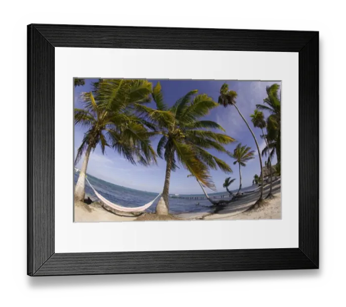Framed Print : hammock, Turneffe Caye, Belize (RF) Framed Print : hammock, Turneffe Caye, Belize (RF)