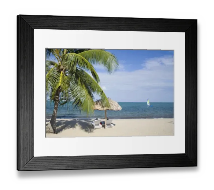 Framed Print : Thatched palapas, palm tree and lounge chairs on beach, looking out to Caribbean Sea