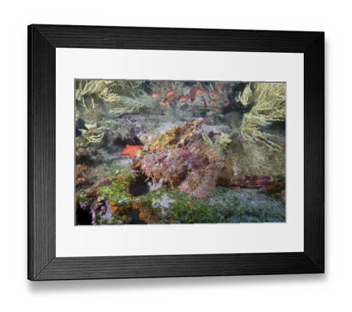 Framed Print : Central America, Ecuador Framed Print : Central America, Ecuador
