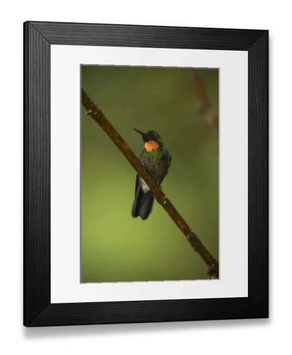 Framed Print : Central America, Ecuador Framed Print : Central America, Ecuador