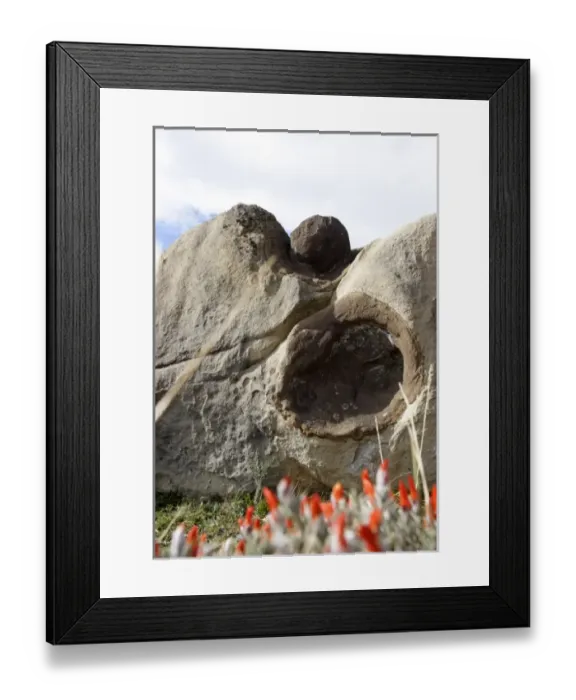 Framed Print : South America, Argentina Framed Print : South America, Argentina