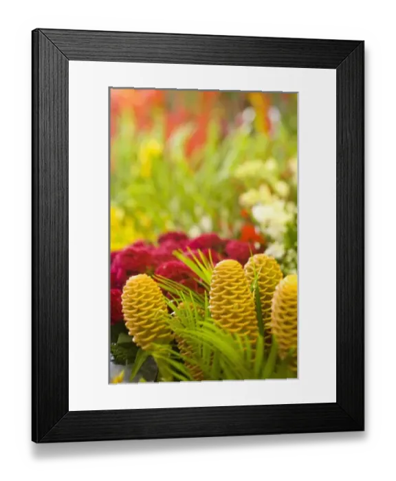 Framed Print : South America, Brazil Framed Print : South America, Brazil