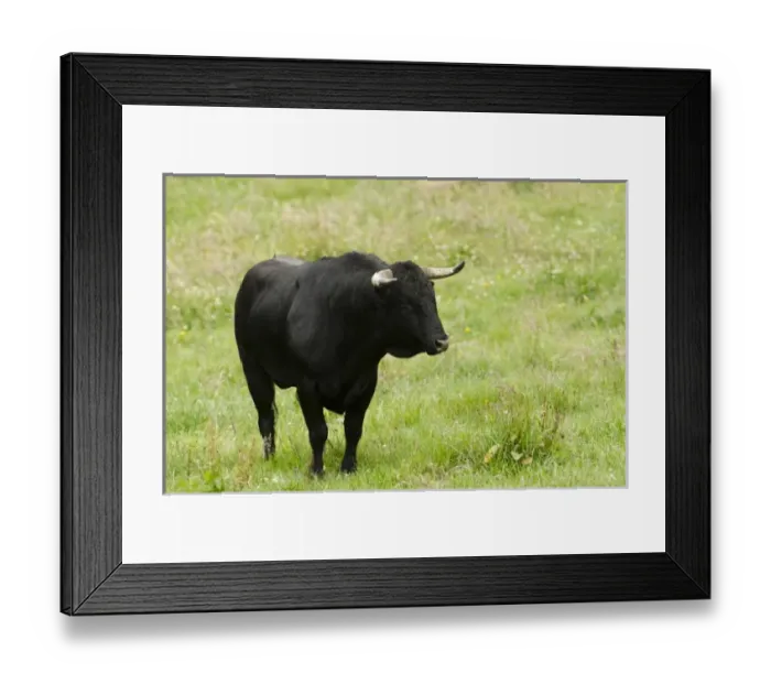 Framed Print : Central America, Ecuador Framed Print : Central America, Ecuador