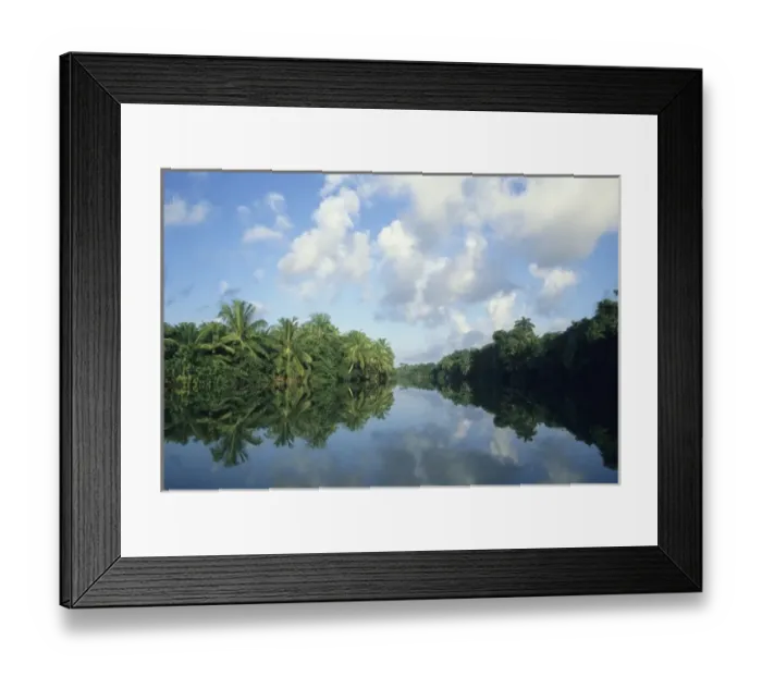 Framed Print : Near mouth of Sibun River, coastal Belize
