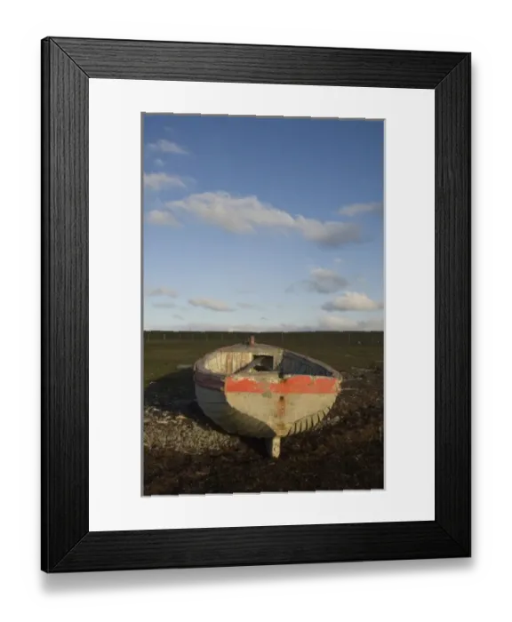 Framed Print : Wooden dingy, Pebble Island, off north coast of West Falkland, Falkland Islands Framed Print : Wooden dingy, Pebble Island, off north coast of West Falkland, Falkland Islands