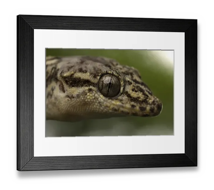 Framed Print : Central America, Ecuador Framed Print : Central America, Ecuador