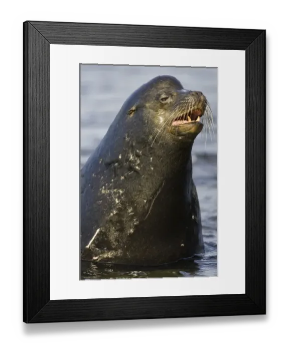 Framed Print : Central America, Ecuador Framed Print : Central America, Ecuador
