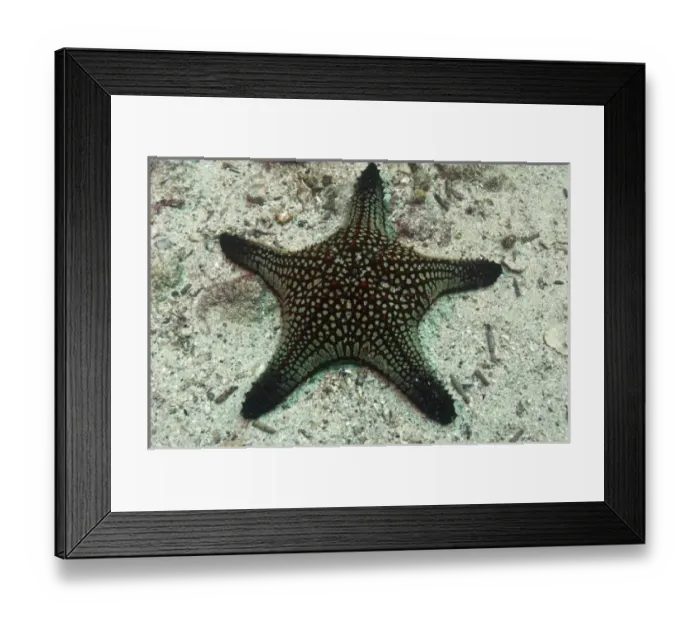 Framed Print : Central America, Ecuador Framed Print : Central America, Ecuador