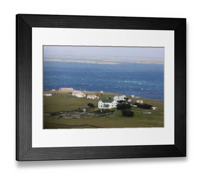 Framed Print : Pebble Island Settlement. Pebble Island, off north coast of West Falkland. Falkland Islands Framed Print : Pebble Island Settlement. Pebble Island, off north coast of West Falkland. Falkland Islands