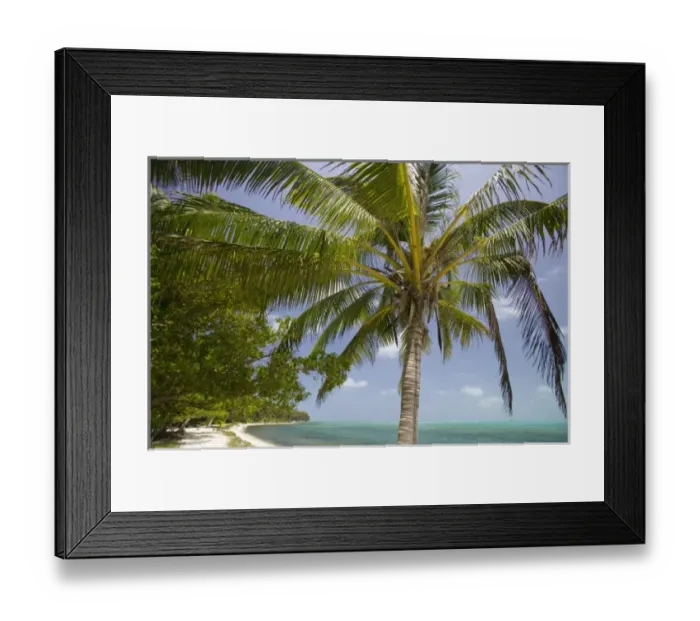 Framed Print : Half Moon Caye, World Heritage Site-Lighthouse Reef Atoll, Belize. (RF) Framed Print : Half Moon Caye, World Heritage Site-Lighthouse Reef Atoll, Belize. (RF)