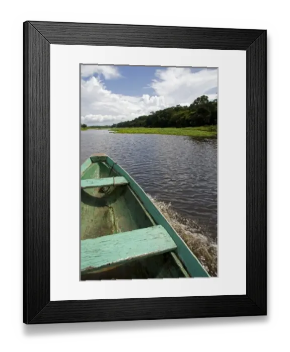 Framed Print : The bow of a dugout canoe on the Arasa River in the Amazon jungle near Manaus, Brazil Framed Print : The bow of a dugout canoe on the Arasa River in the Amazon jungle near Manaus, Brazil