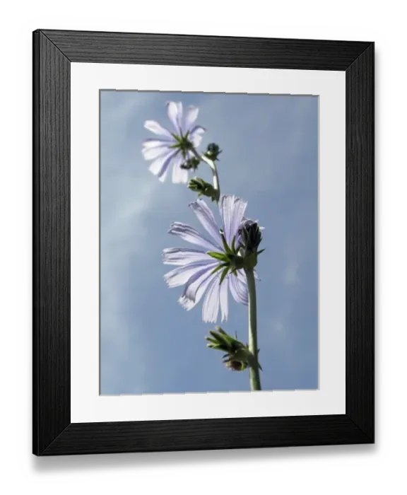 Framed Print : Argentina, Neuqu Framed Print : Argentina, Neuqu
