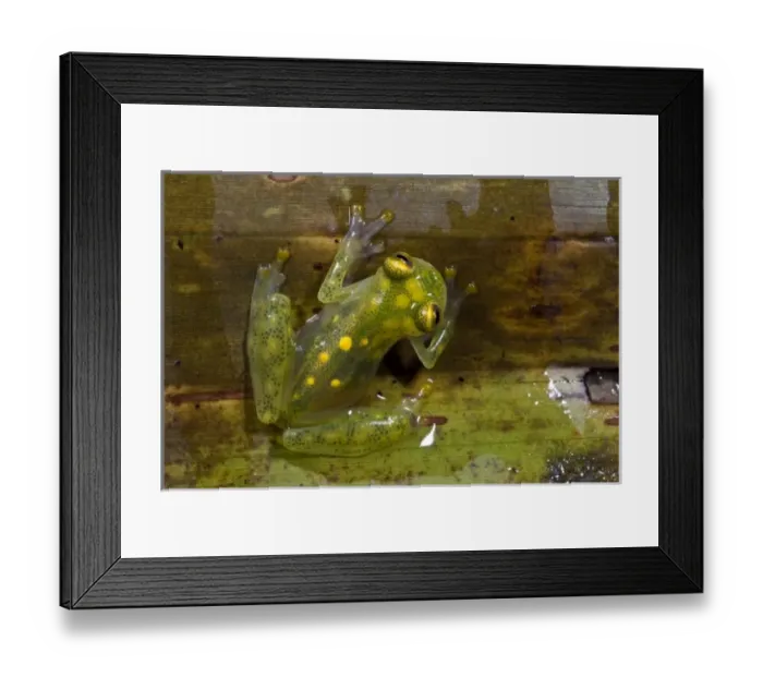 Framed Print : Central America, Ecuador Framed Print : Central America, Ecuador