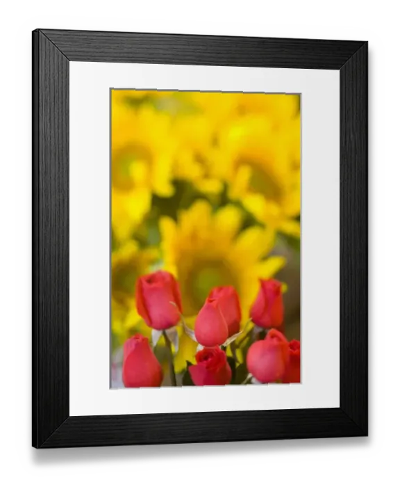 Framed Print : South America, Brazil Framed Print : South America, Brazil