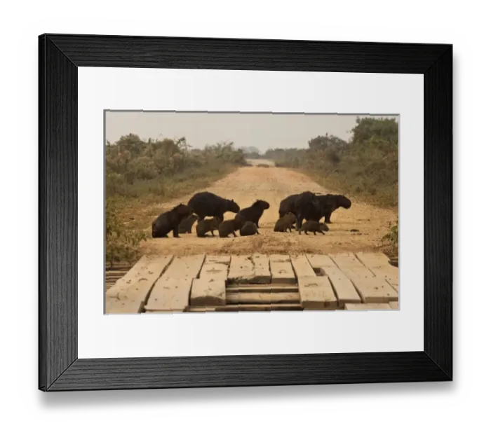 Framed Print : South America, Brazil