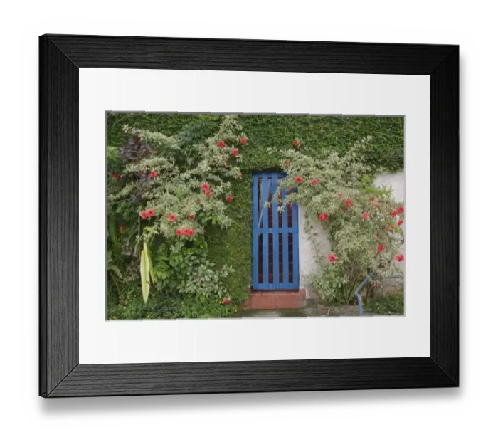 Framed Print : Brazil, Rio de Janeiro, Paqueta Island, Colored gate Framed Print : Brazil, Rio de Janeiro, Paqueta Island, Colored gate