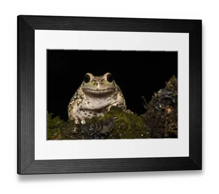 Framed Print : Central America, Ecuador Framed Print : Central America, Ecuador