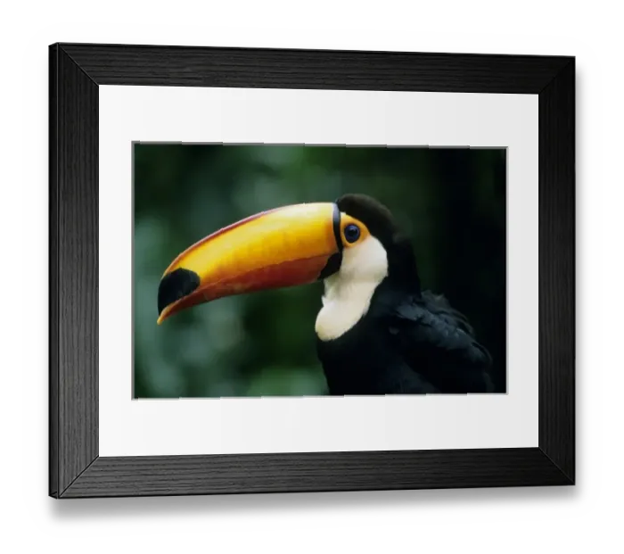 Framed Print : South America, Brazil