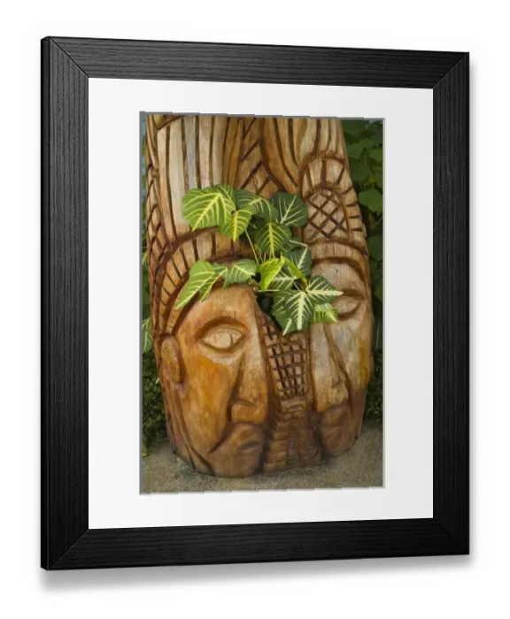 Framed Print : Central America, Belize Framed Print : Central America, Belize