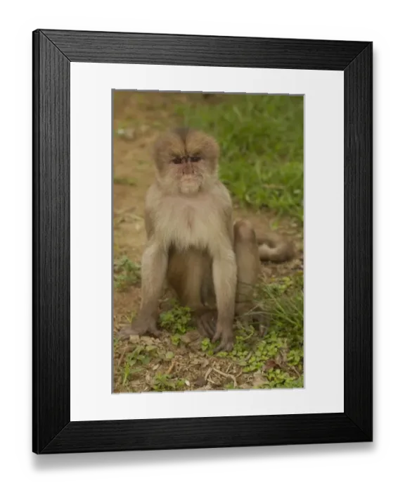 Framed Print : Central America, Ecuador Framed Print : Central America, Ecuador