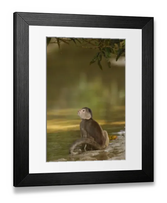 Framed Print : Central America, Ecuador Framed Print : Central America, Ecuador