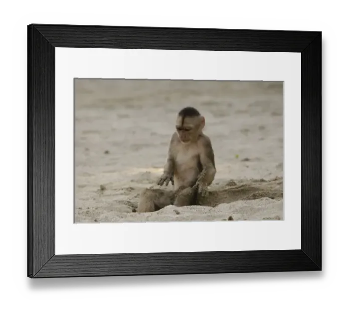 Framed Print : Central America, Ecuador Framed Print : Central America, Ecuador