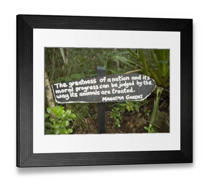 Framed Print : Central America, Belize Framed Print : Central America, Belize