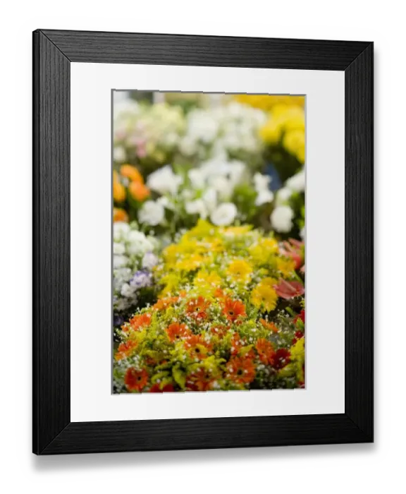 Framed Print : South America, Brazil