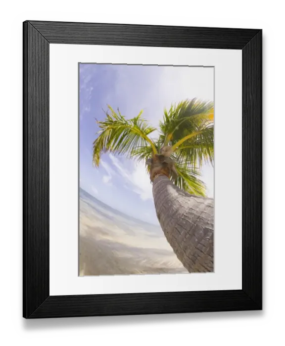Framed Print : Central America, Belize