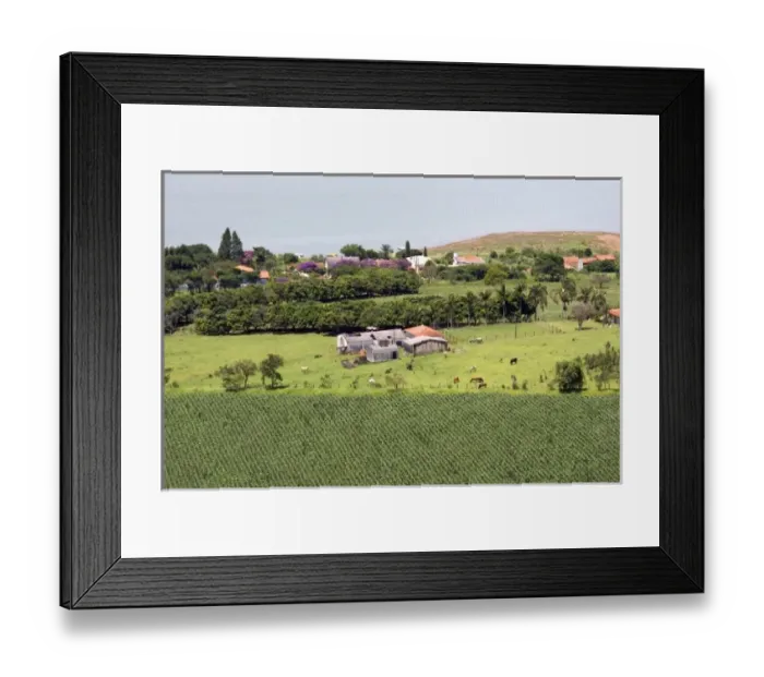 Framed Print : South America, Brazil