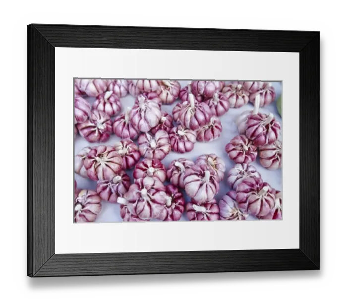 Framed Print : Brazil, Rio de Janeiro, garlic for sale at market, near Ipanema Beach Framed Print : Brazil, Rio de Janeiro, garlic for sale at market, near Ipanema Beach