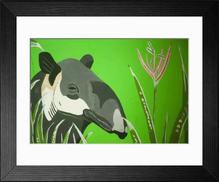 Framed Print : Painting of tapir, Belize Zoo, Belize Framed Print : Painting of tapir, Belize Zoo, Belize