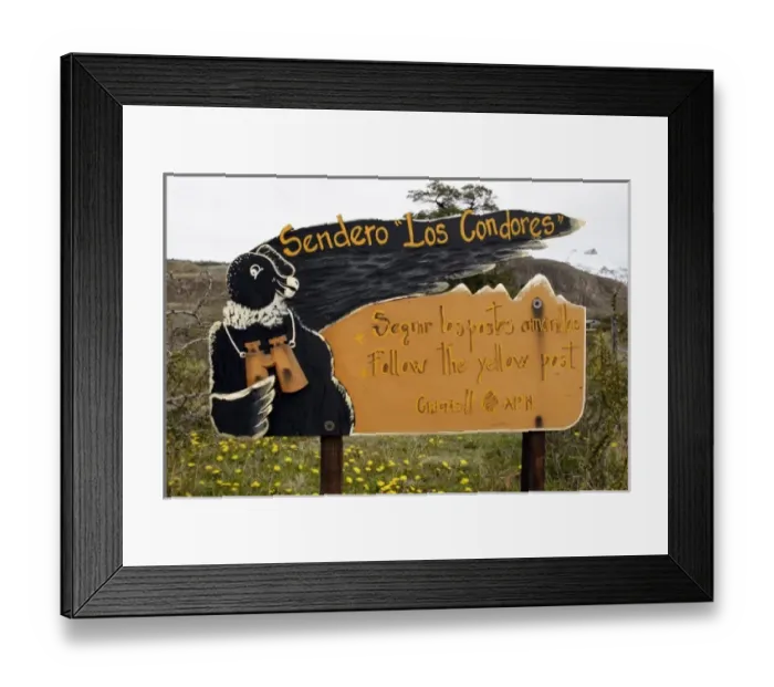 Framed Print : South America, Argentina