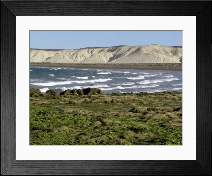 Framed Print : Patagonian coast Framed Print : Patagonian coast