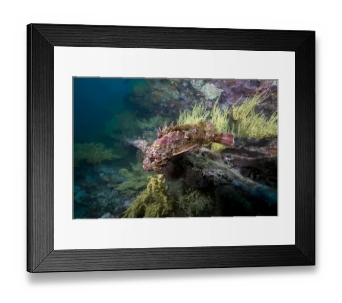 Framed Print : Central America, Ecuador Framed Print : Central America, Ecuador