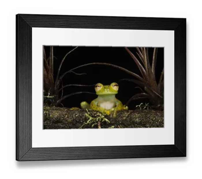 Framed Print : Central America, Ecuador