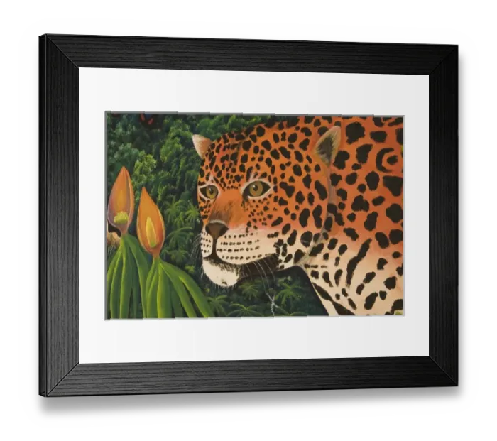 Framed Print : Mural depicting local wildlife on walls outside of shop, Belize City, Belize Framed Print : Mural depicting local wildlife on walls outside of shop, Belize City, Belize