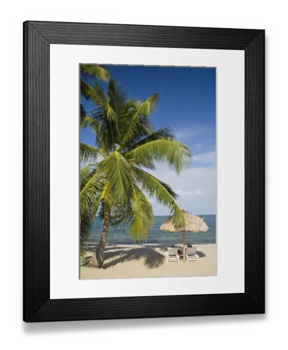 Framed Print : Thatched palapas, palm tree and lounge chairs on beach, looking out to Caribbean Sea Framed Print : Thatched palapas, palm tree and lounge chairs on beach, looking out to Caribbean Sea