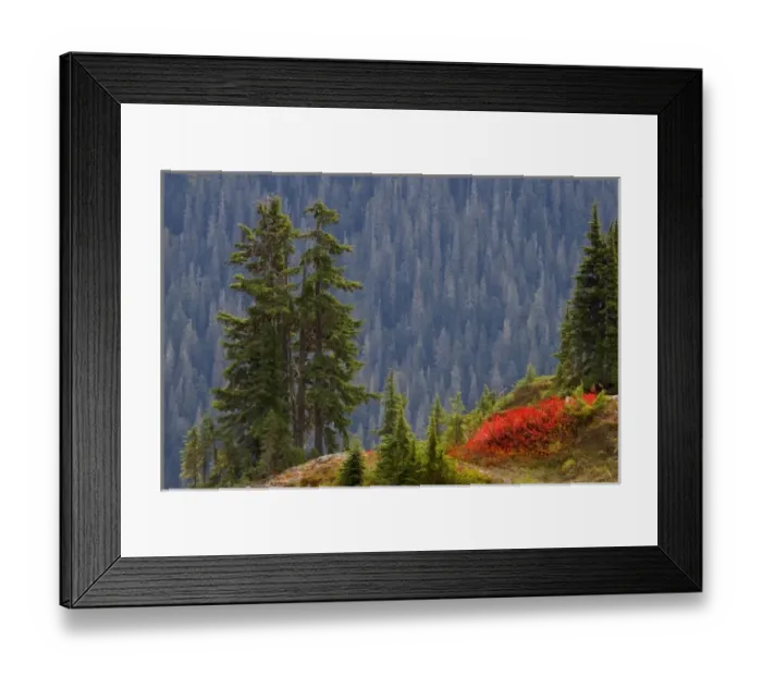 Framed Print : USA, Washington, Mount Baker Wilderness. Scenic view from Yellow Aster Butte Trail